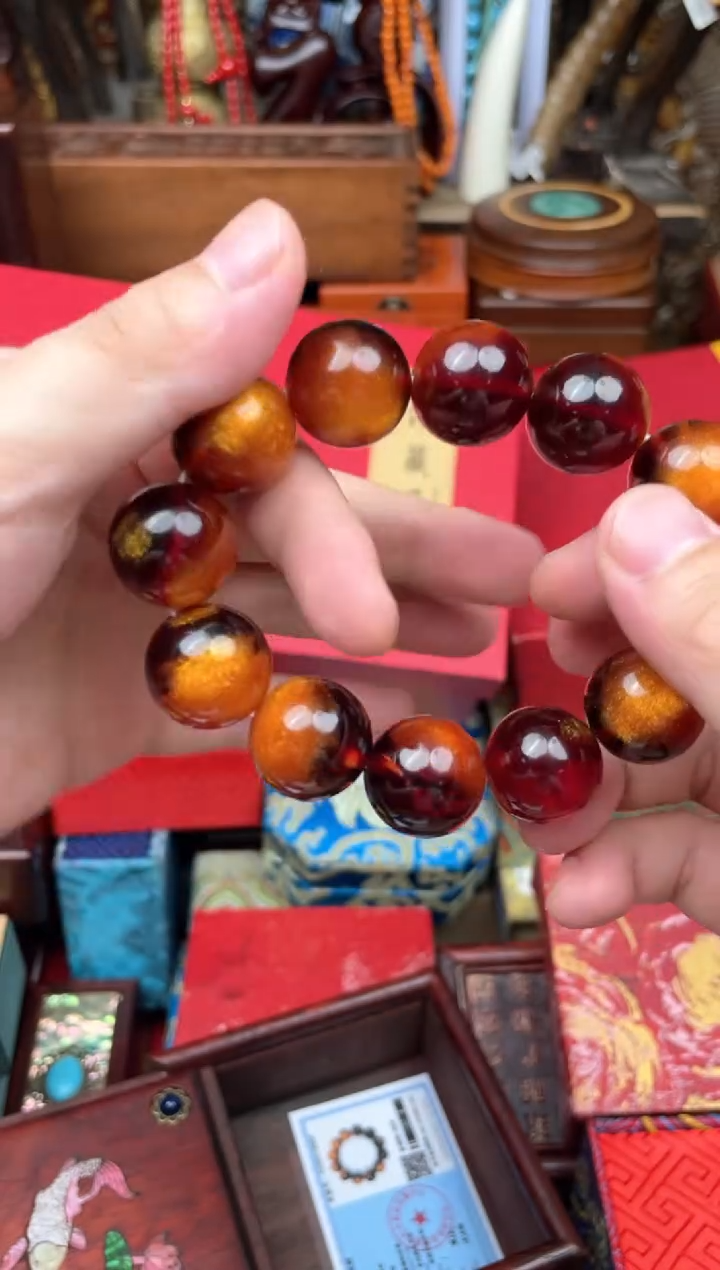 木---------------海柳2.0