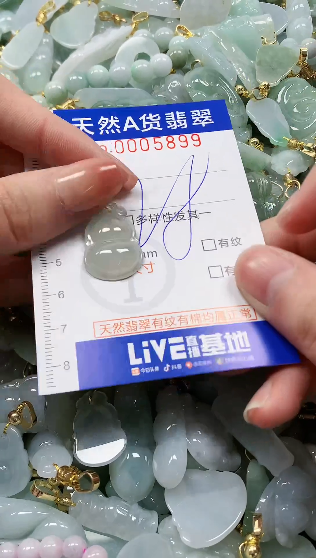 颈饰未镶嵌翡翠纯天然a货翡翠