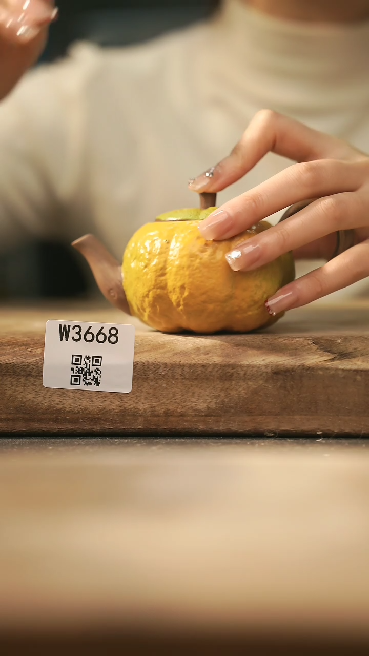 【闪购商品】【经典福利】/ 壶@@W3668