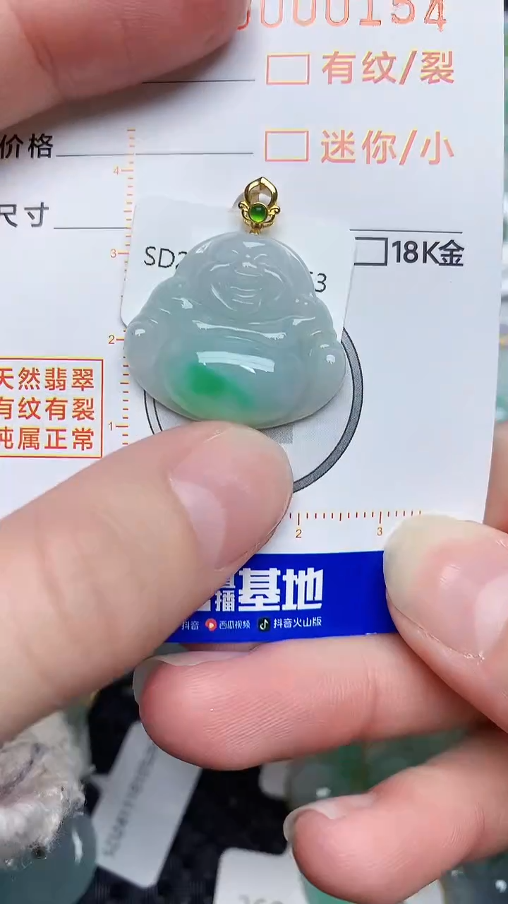 【闪购商品】翡翠颈饰18K金镶嵌45345345453