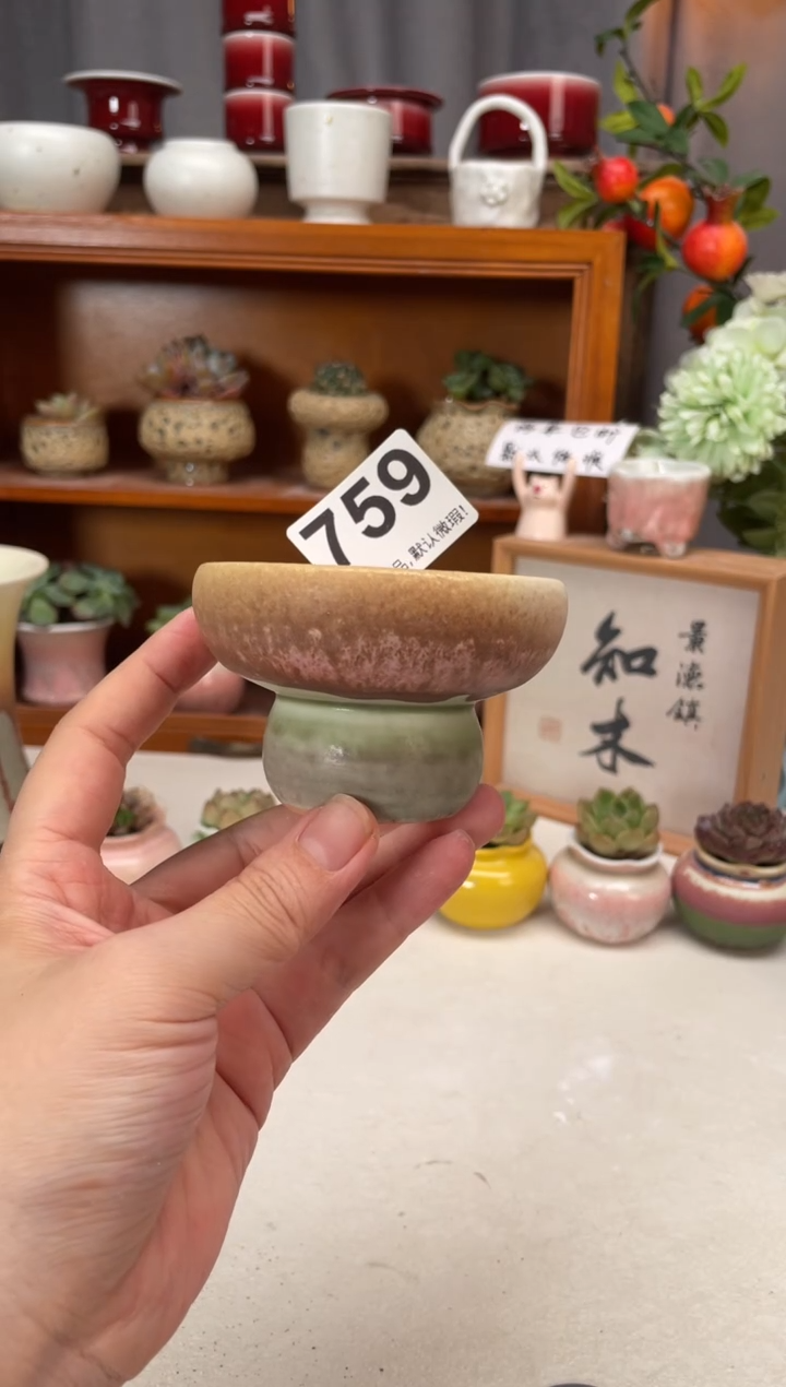 瓷片759知木小芳花盆直播编号