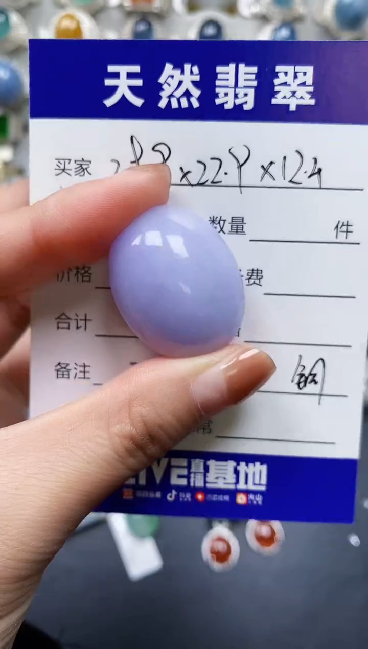 【闪购商品】翡翠颈饰未镶嵌00000216