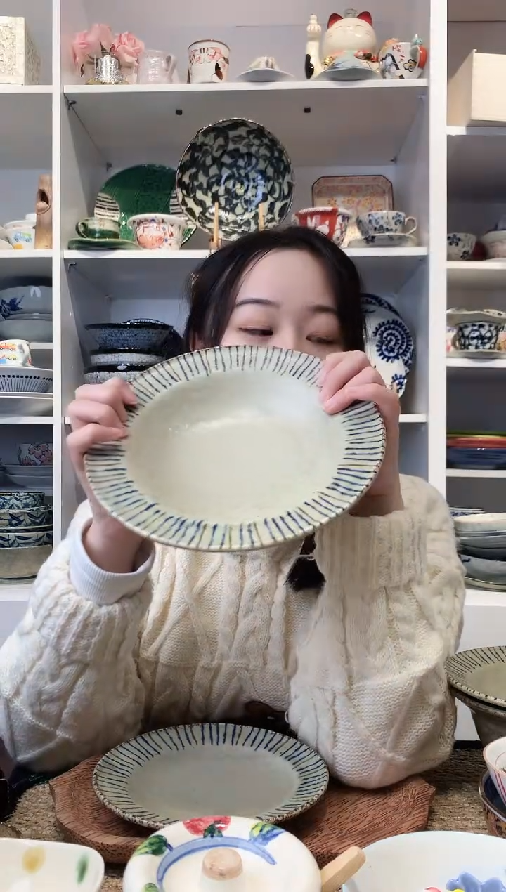 陶瓷美浓烧复古松叶十草大盘21cm