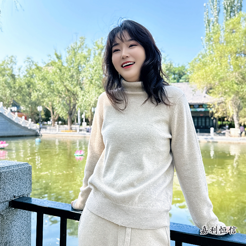 【匠心工艺】经典百搭舒适柔软女式纯山羊绒高领套衫