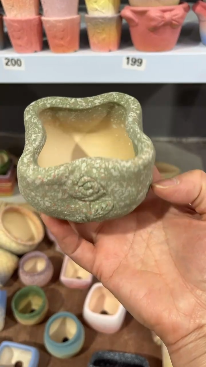 【闪购商品】红陶5*5