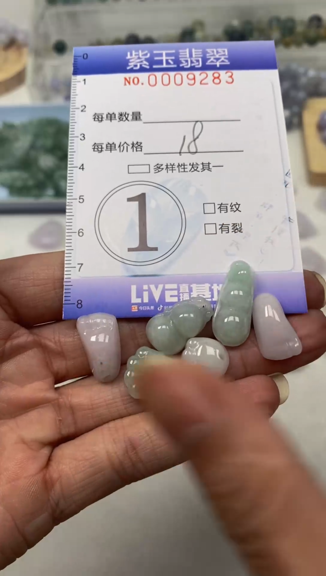 【闪购商品】翡翠颈饰未镶嵌挂件
