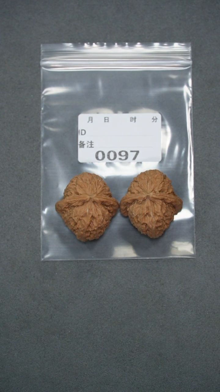 【闪购商品】文玩核桃把件37白狮子