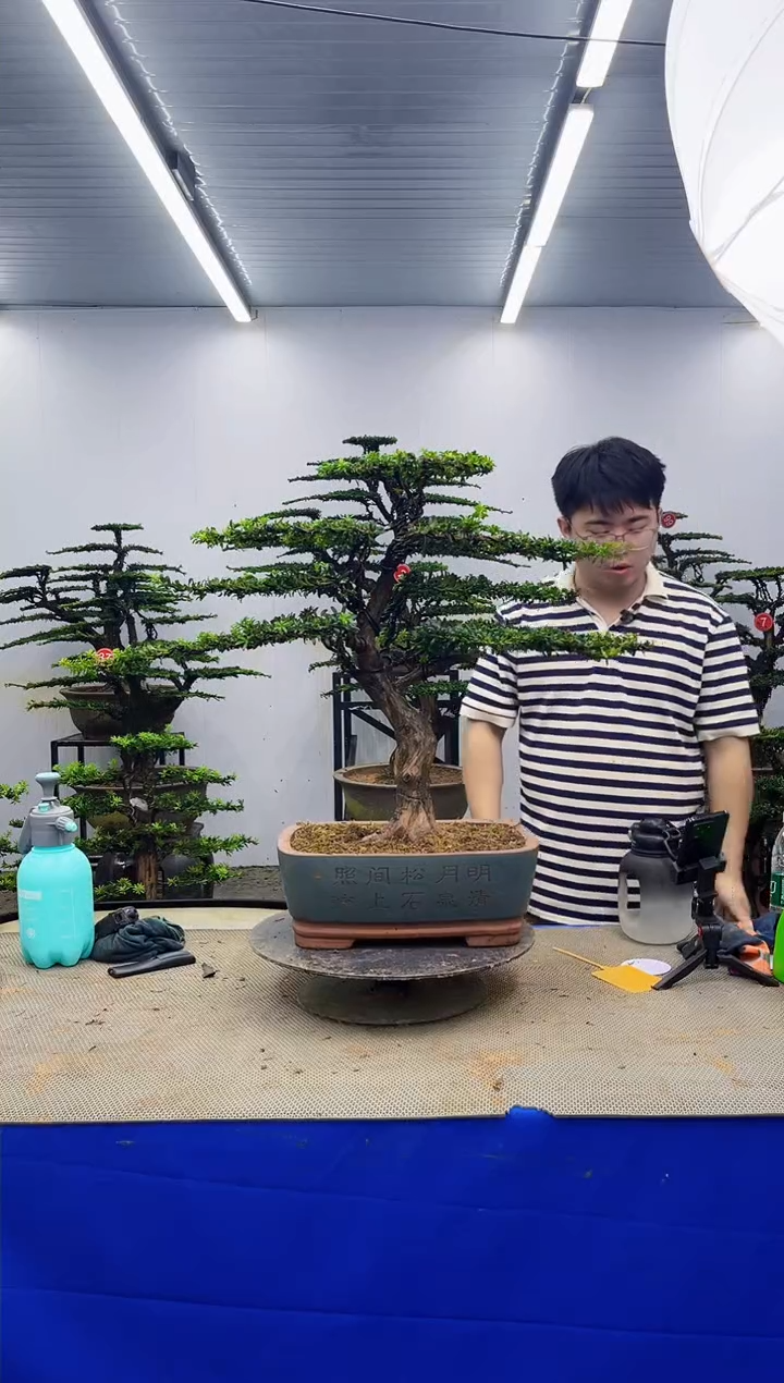 无花朵一物一拍，所见即所得