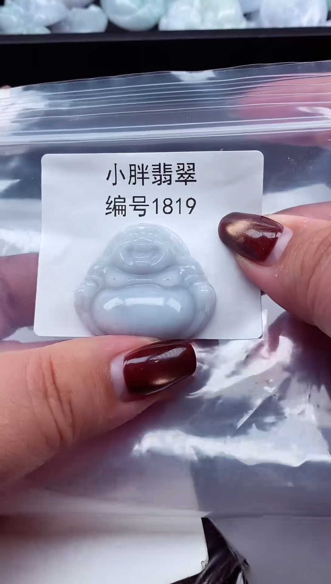 颈饰未镶嵌翡翠缅甸天然A货翡翠1819