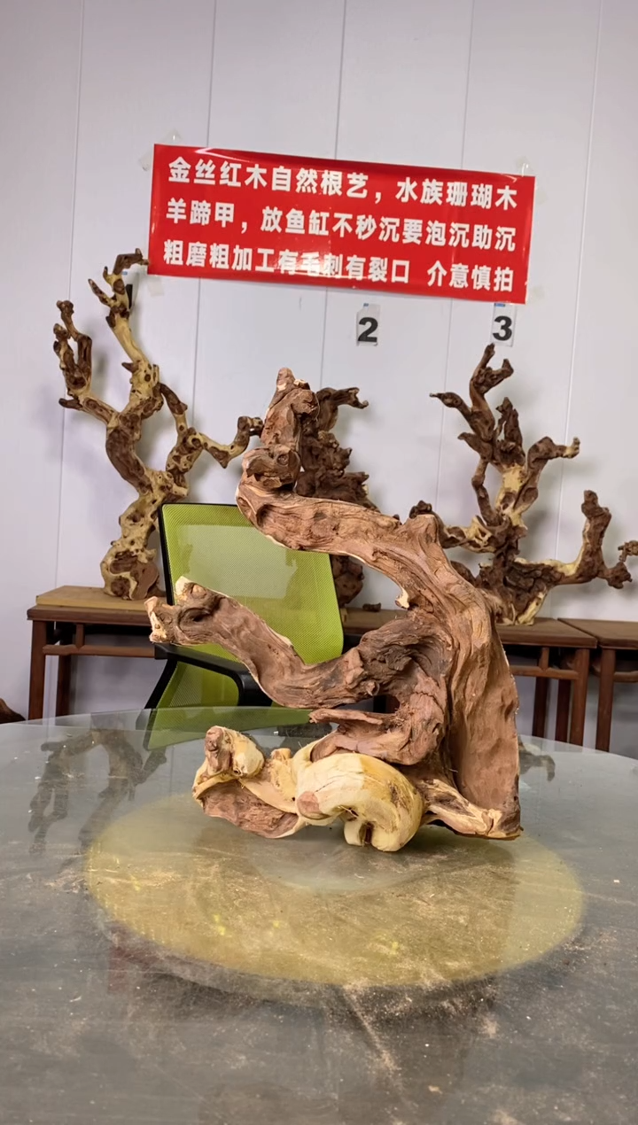 【闪购商品】木金丝红木 羊蹄甲 