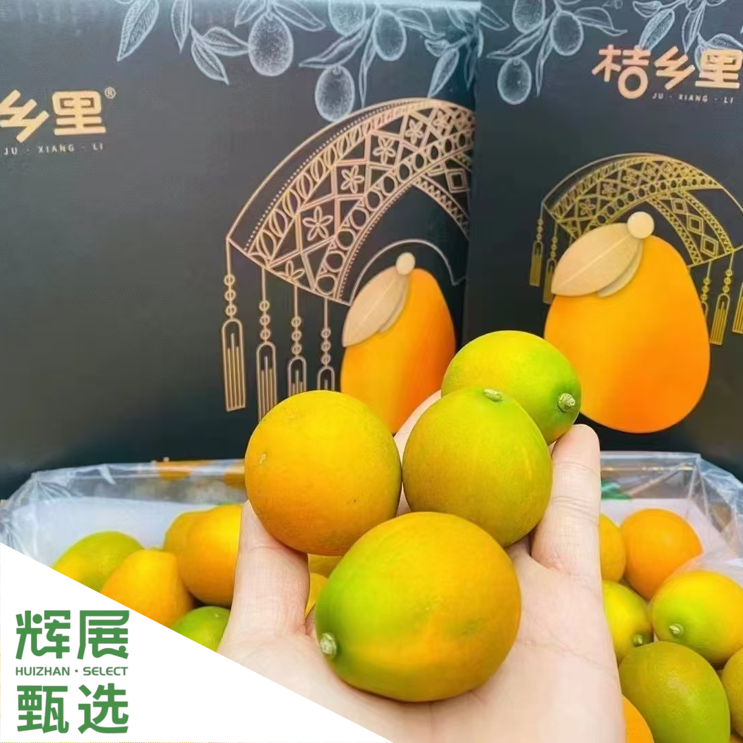 黑金广西融安脆蜜金柑新鲜现摘无籽多汁礼盒顺丰