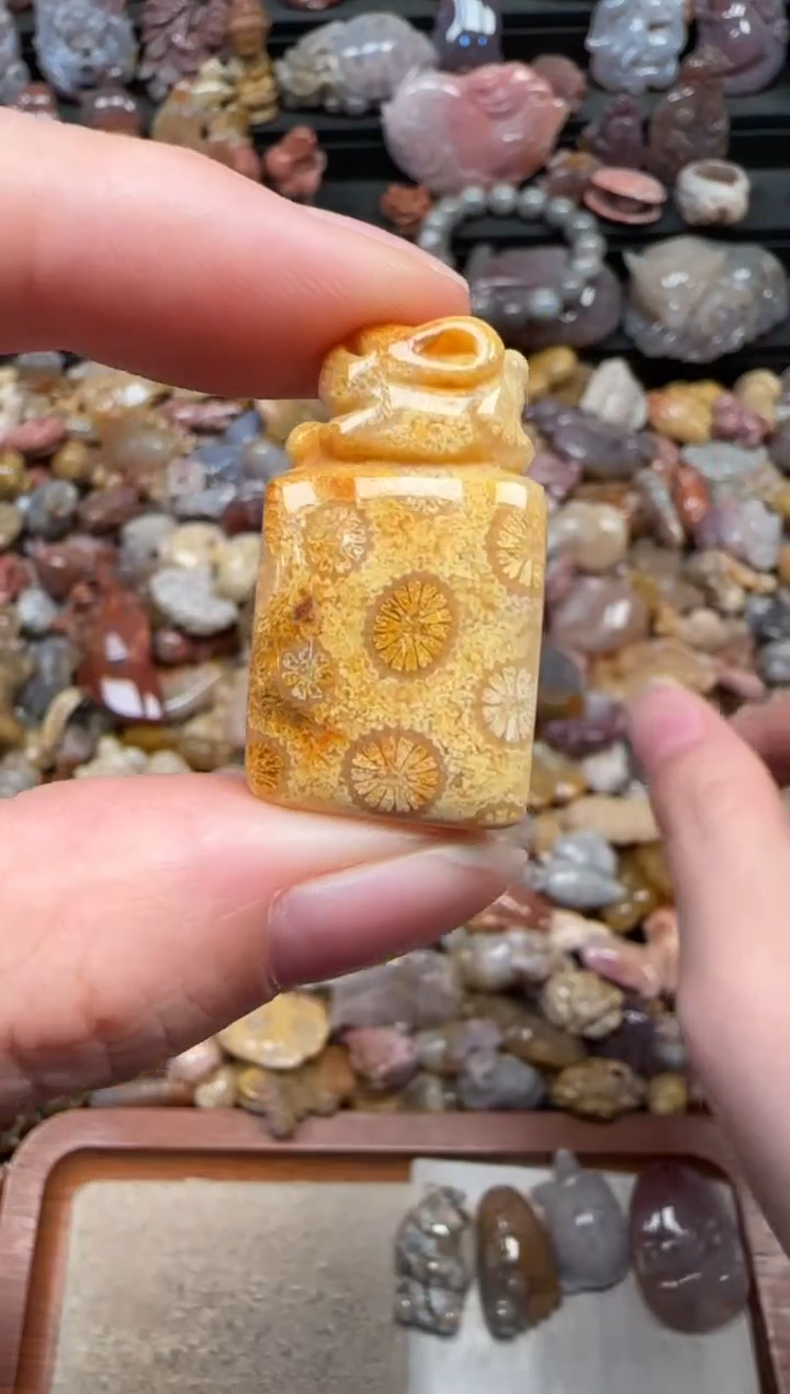 颈饰未镶嵌硅化珊瑚（珊瑚玉）722