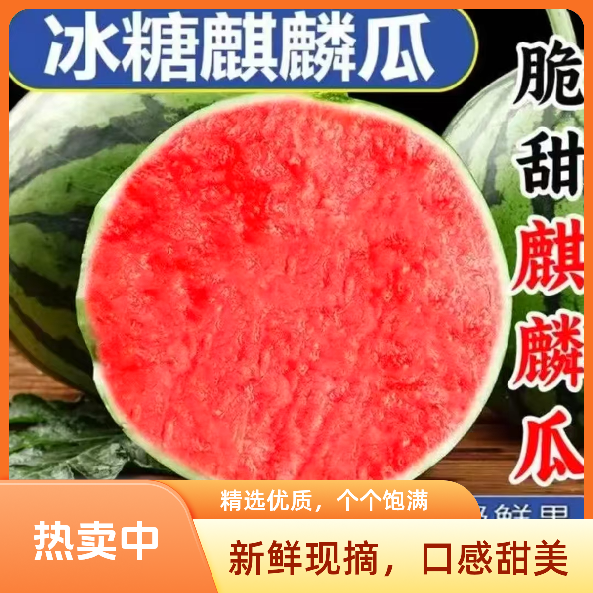 【专属】新鲜采摘脆甜爽口精品头茬海南美都麒麟瓜4~10斤整箱发货海南省海南省