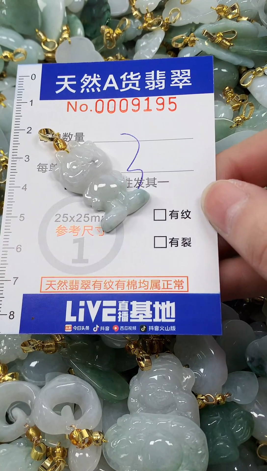 颈饰未镶嵌翡翠纯天然a货翡翠