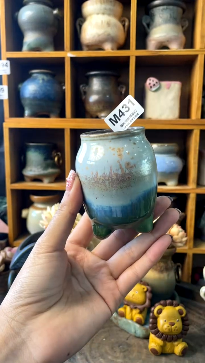 431内口4【多肉花盆多肉盆】