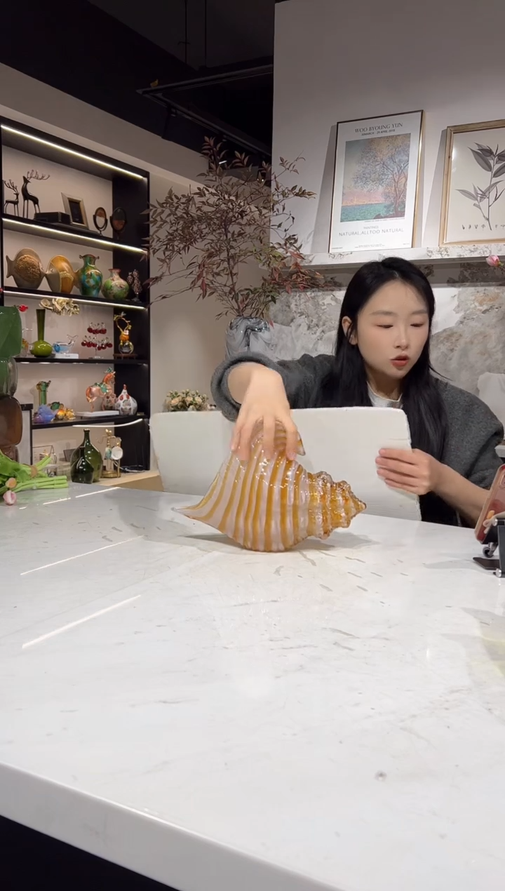 【闪购商品】琉璃条纹大海螺