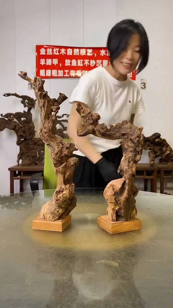 香榧木辉***o金丝红木   羊蹄甲