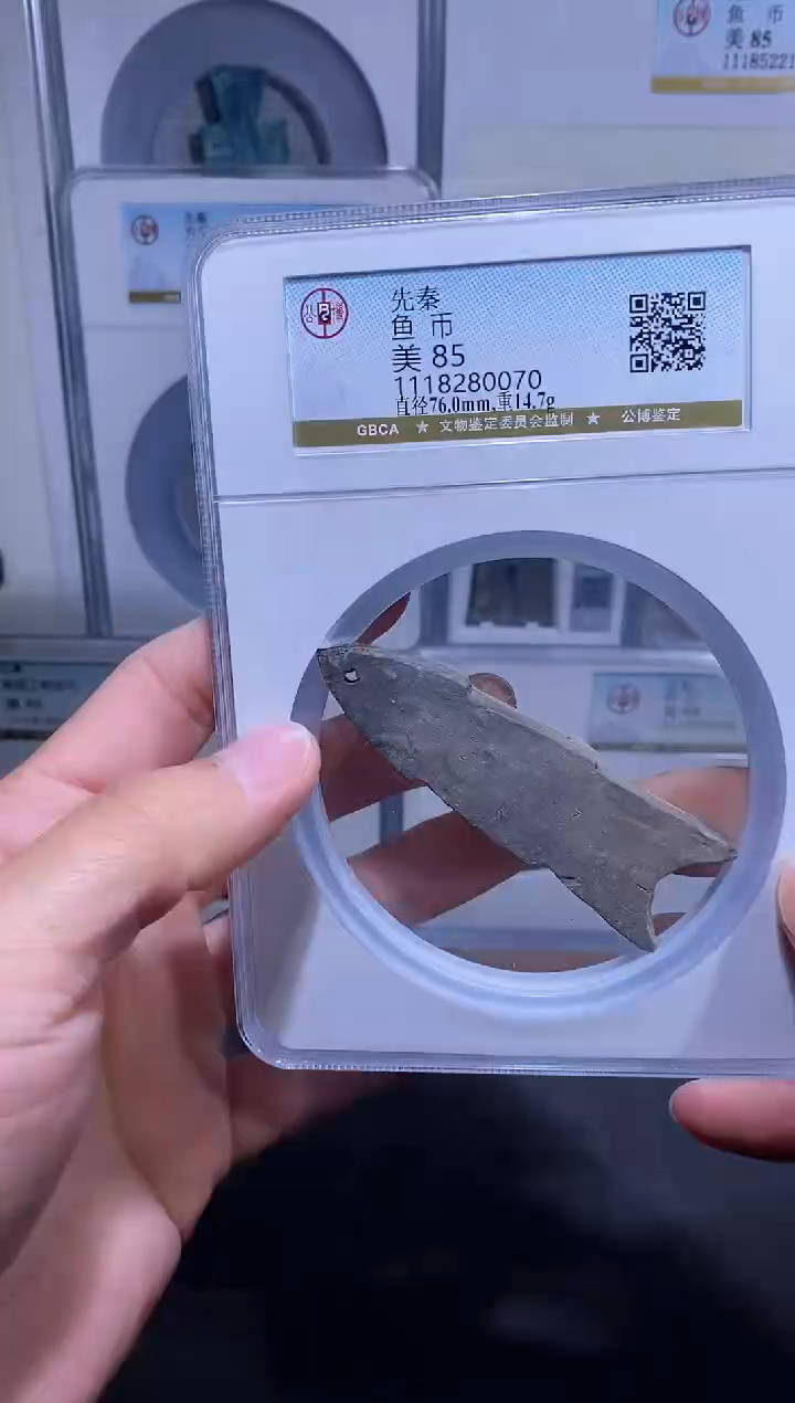 【闪购商品】金品泉 先秦灰陶鱼币一枚（灰陶公博85）