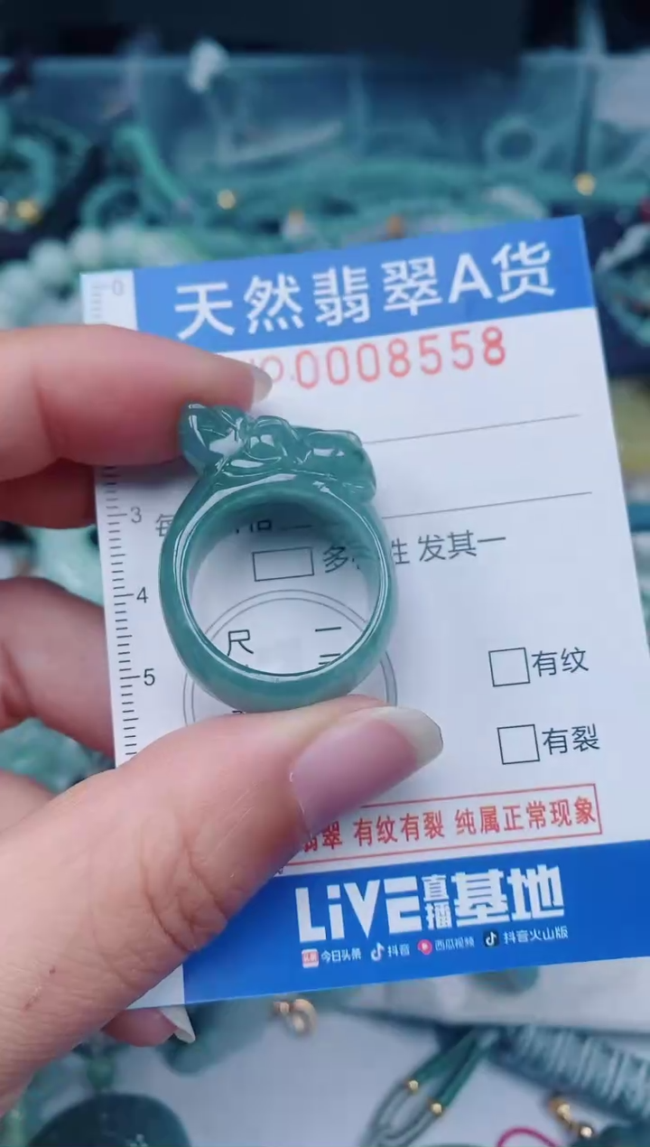 颈饰未镶嵌翡翠00008558