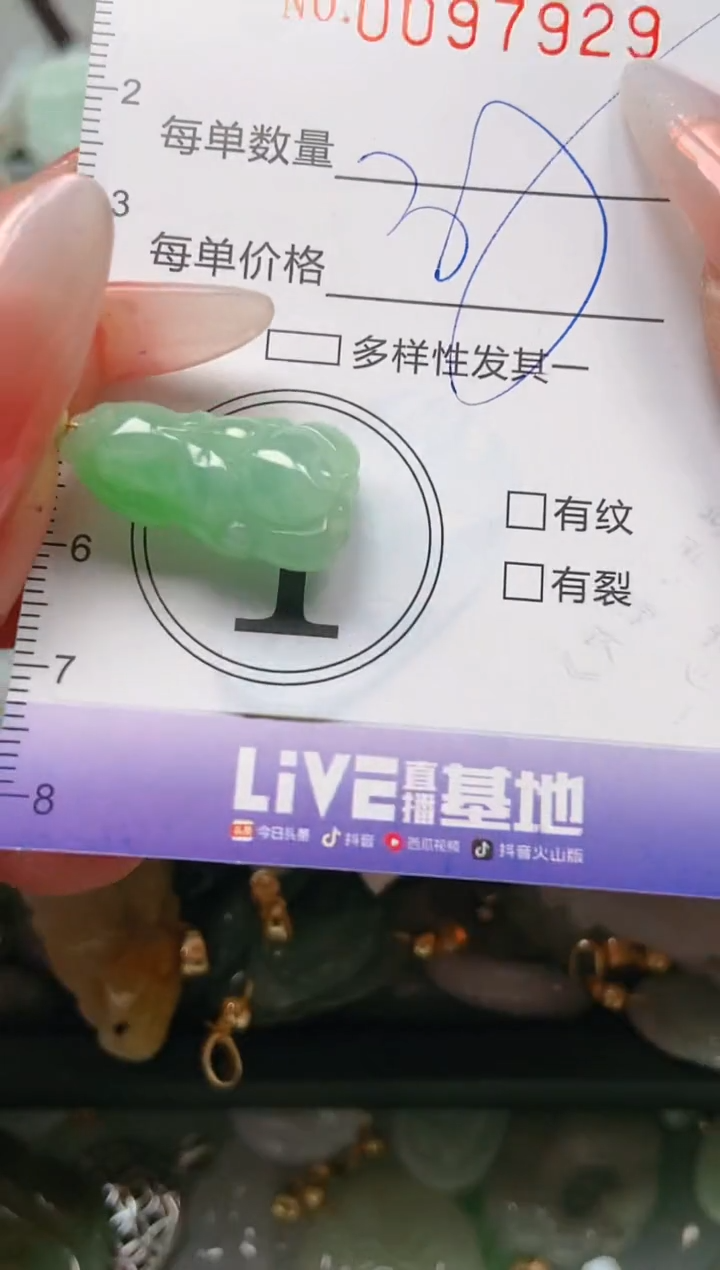 【闪购商品】翡翠颈饰未镶嵌闪购0097929