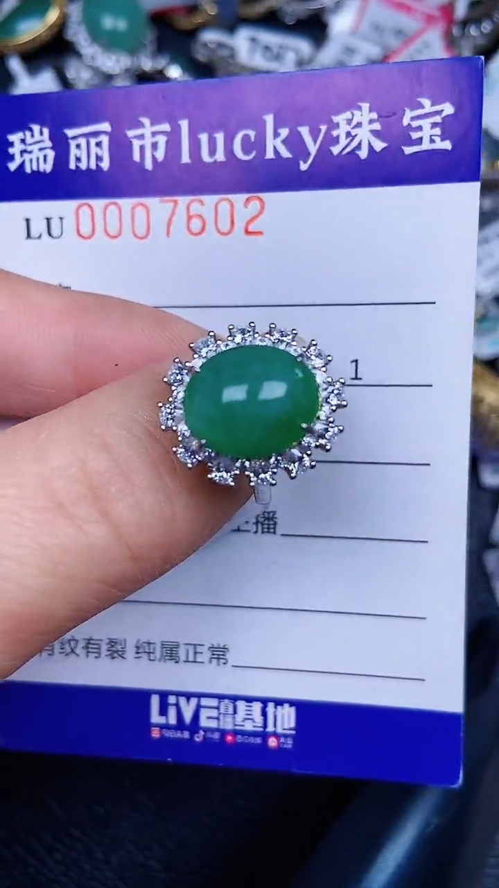 颈饰银S925镶嵌翡翠7602