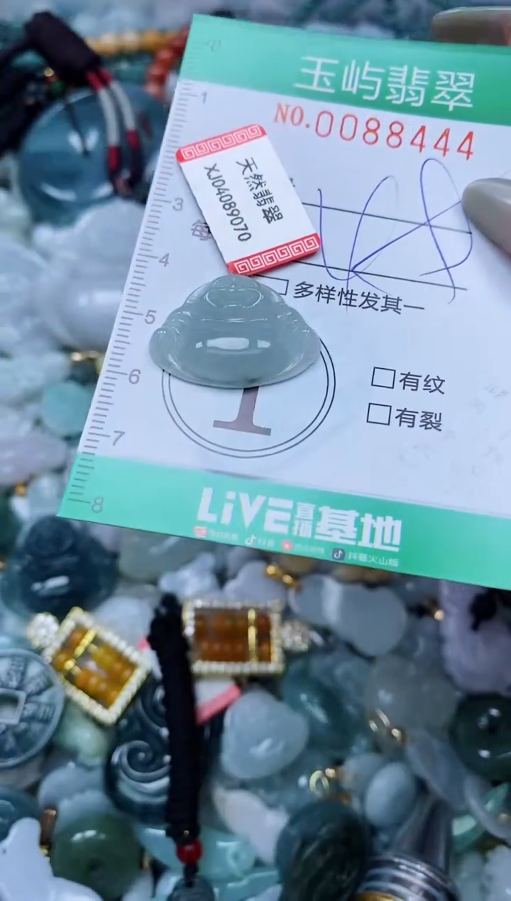 【闪购商品】翡翠颈饰未镶嵌闪购0088444