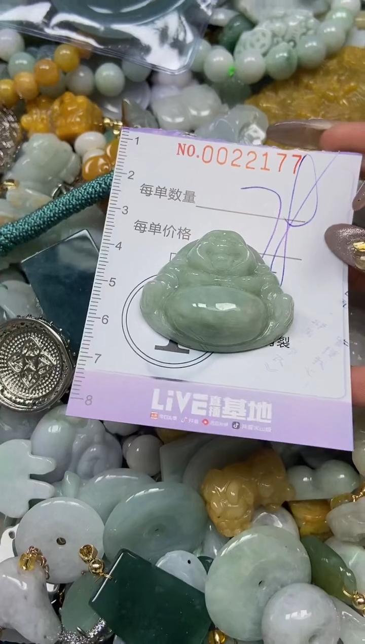 【闪购商品】翡翠颈饰未镶嵌闪购0022177