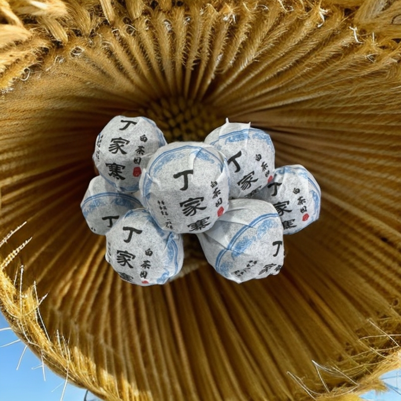 2025年 丁家寨【白茶园】古树高杆龙珠 8克/颗（易武茶区）