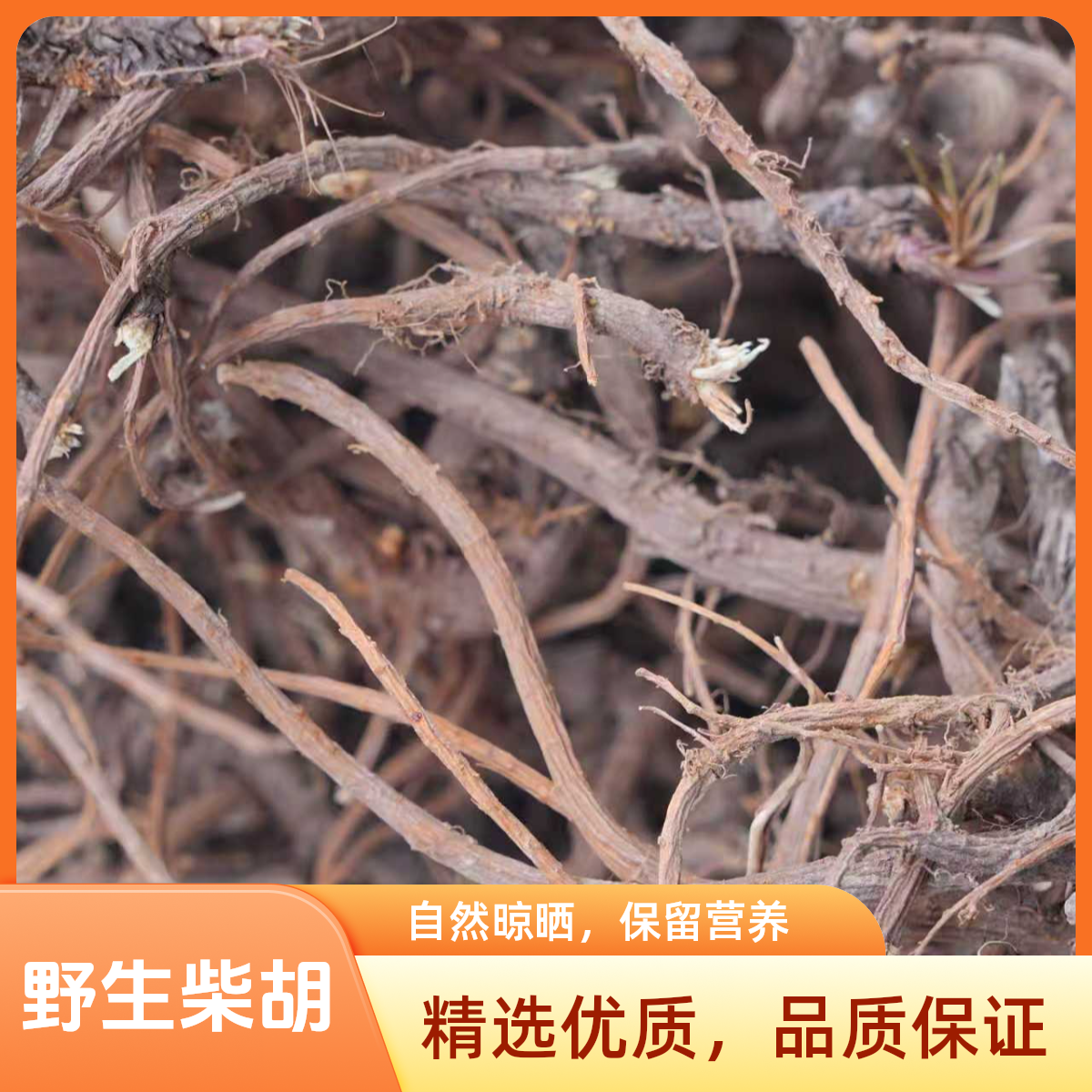 新货秦岭野生柴胡北柴胡根深山采挖柴胡正品