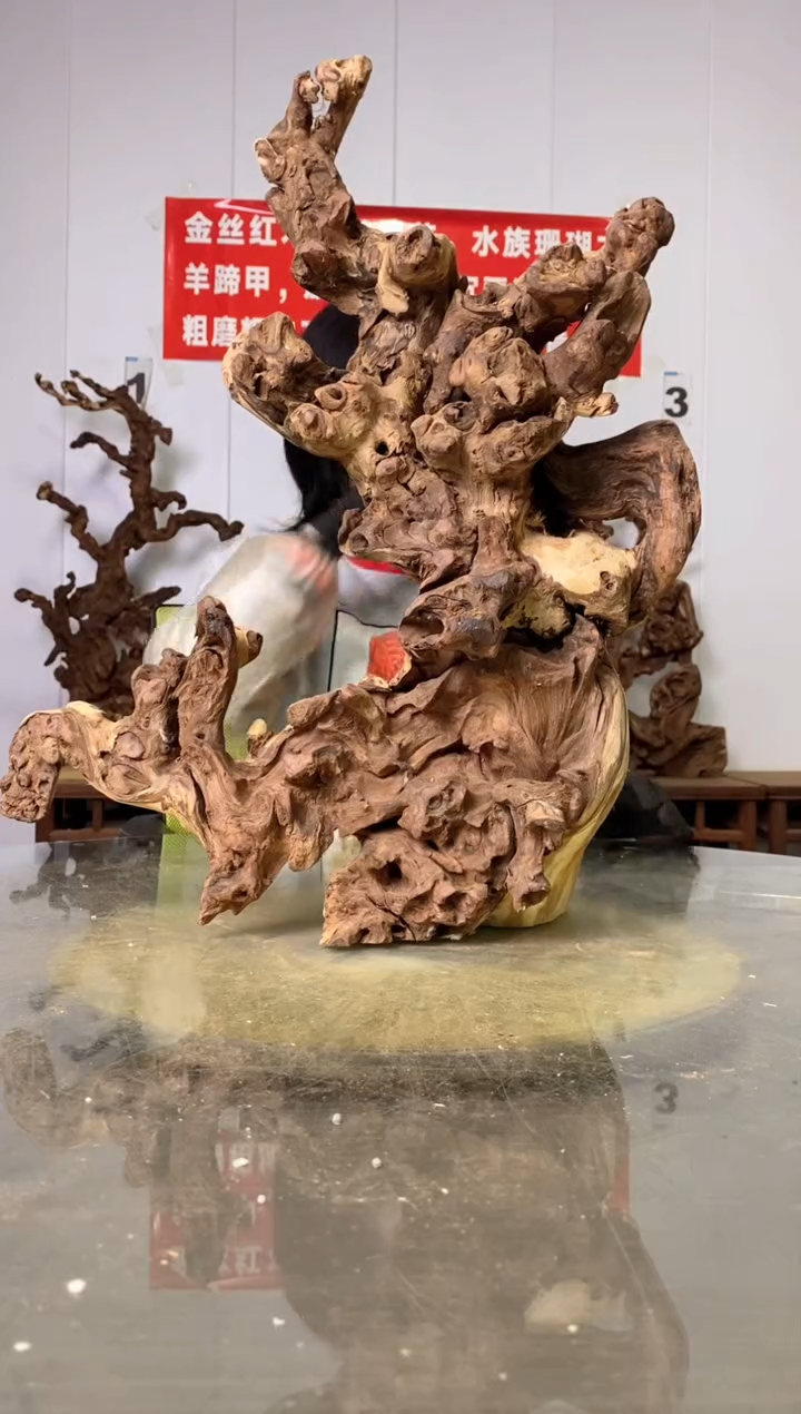 【闪购商品】木90金丝红木 羊蹄甲