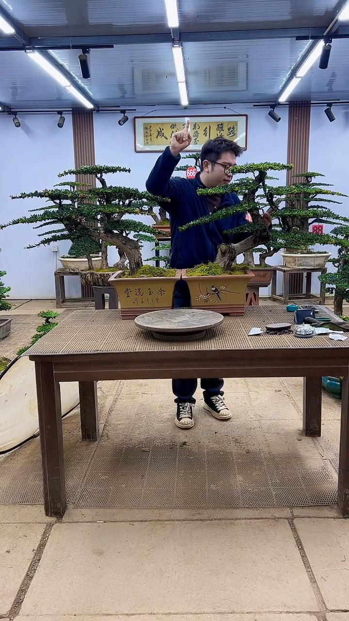 无花朵0000000000000000