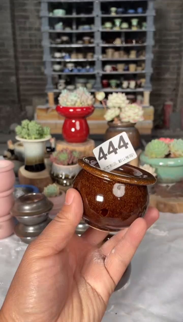 瓷片444小芳直播编号