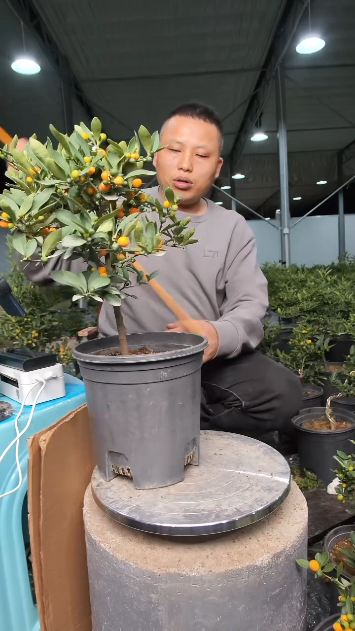 以实际为准1111111