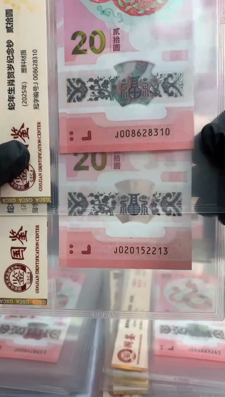 【闪购商品】塑料2025蛇钞  十连号8711