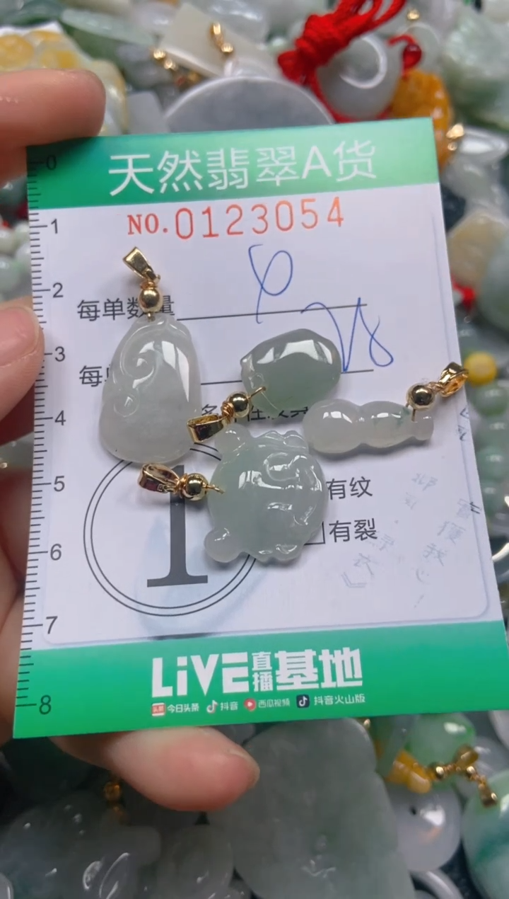 翡翠未镶嵌颈饰闪购0123054