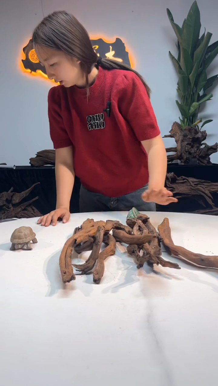 【闪购商品】柚木木雕一物一拍46