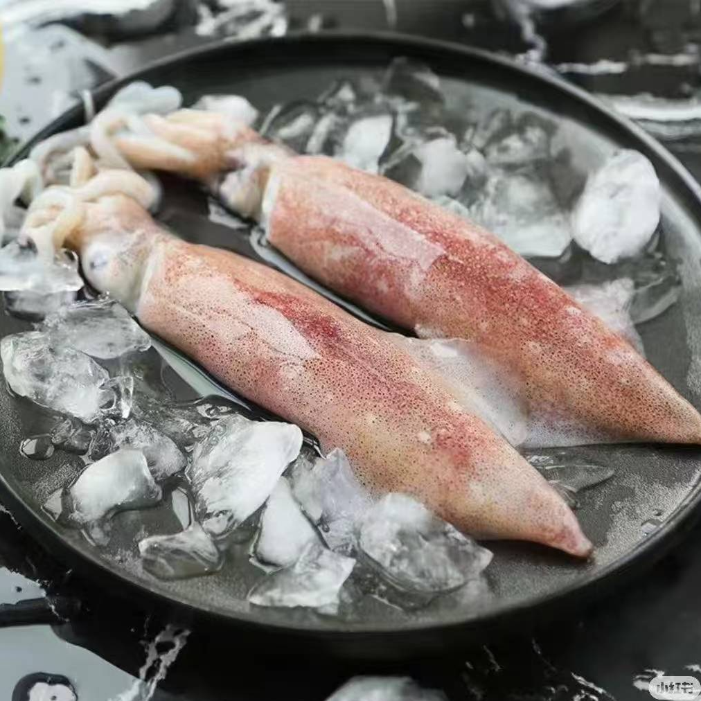 火箭鱿鱼新鲜肉质鲜嫩1-2个左右/斤