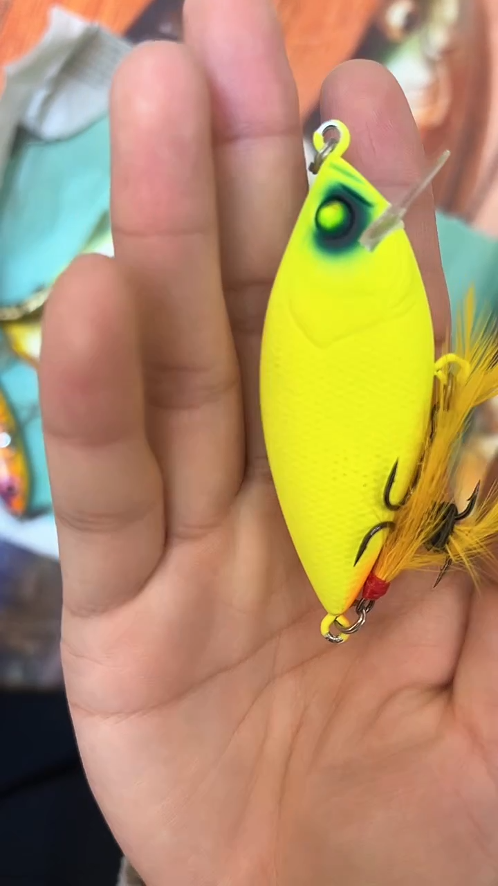 小号间谍 泳道路亚 闪购专拍