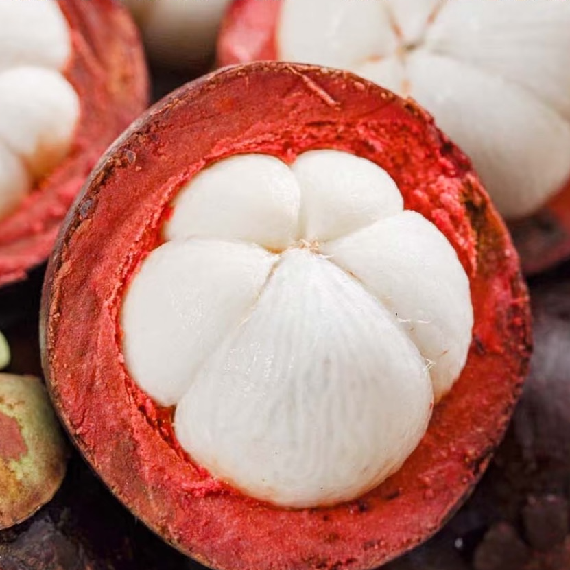 5A泰国老树麻竹山竹2-6斤今天拍明天到新鲜