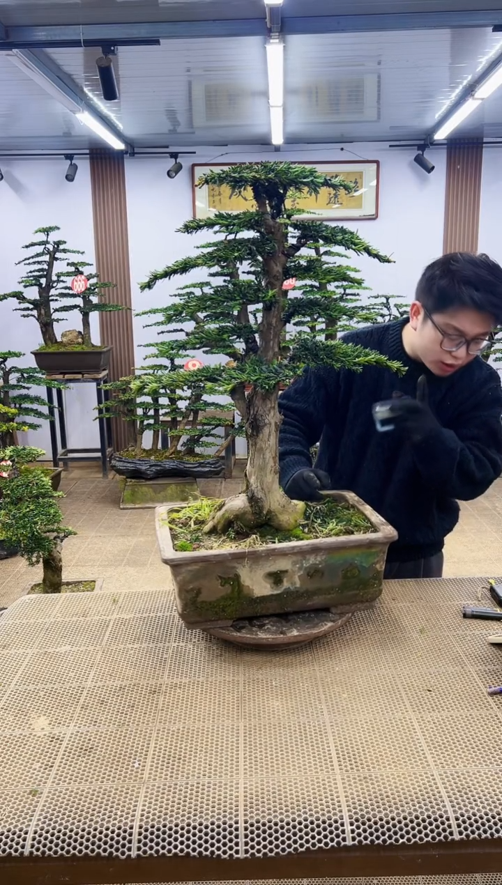 【闪购商品】0000000