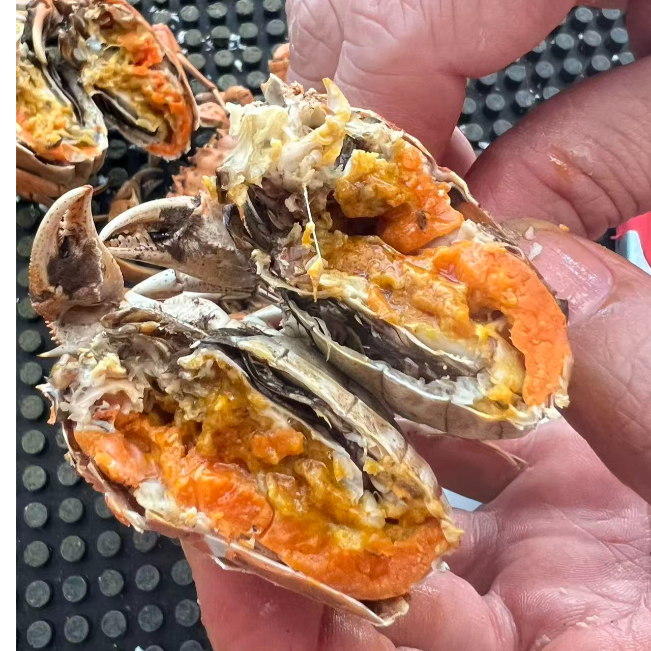 江苏膏蟹【1.0两】 母蟹 一斤约10个左右