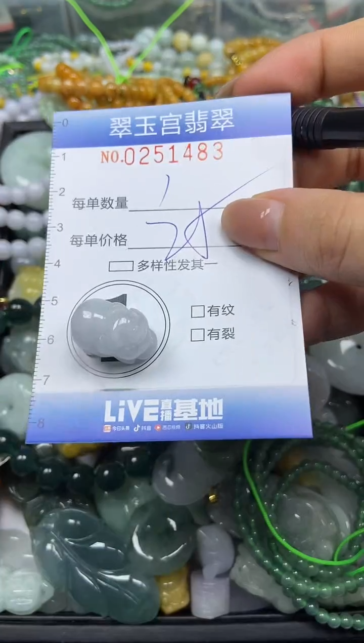 颈饰未镶嵌翡翠闪购C0251483