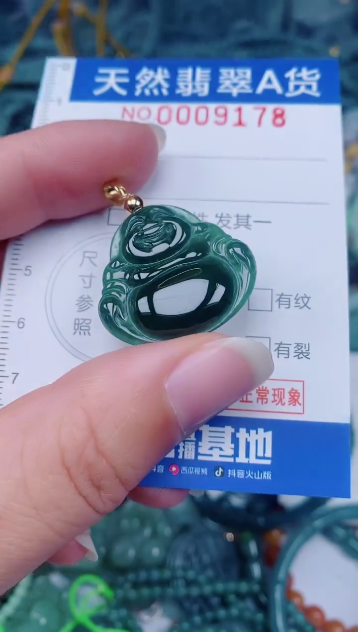 颈饰未镶嵌翡翠00009178