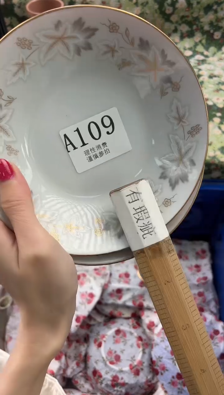 瓷片兰       A109