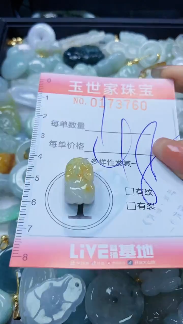 【闪购商品】翡翠颈饰未镶嵌闪购0173760