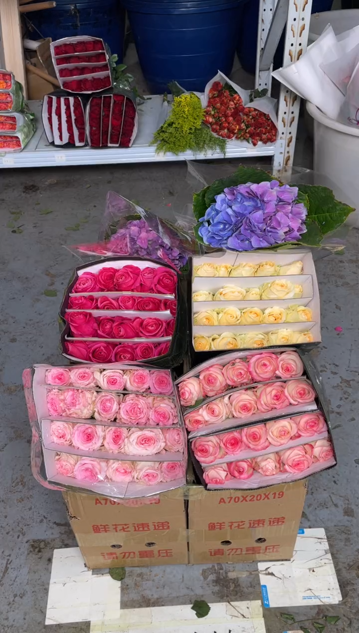 单头玫瑰40枝（任意2个品种）+小绣球1枝（任意色）