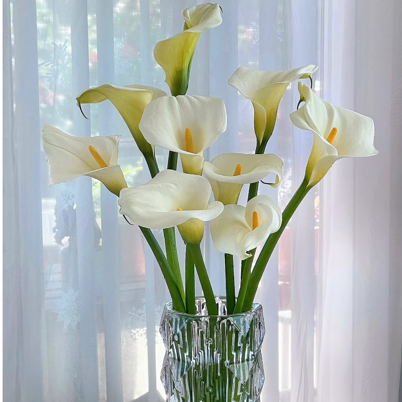 鲜花【马蹄莲】同地址两单以上顺丰/德邦+送10包保鲜剂