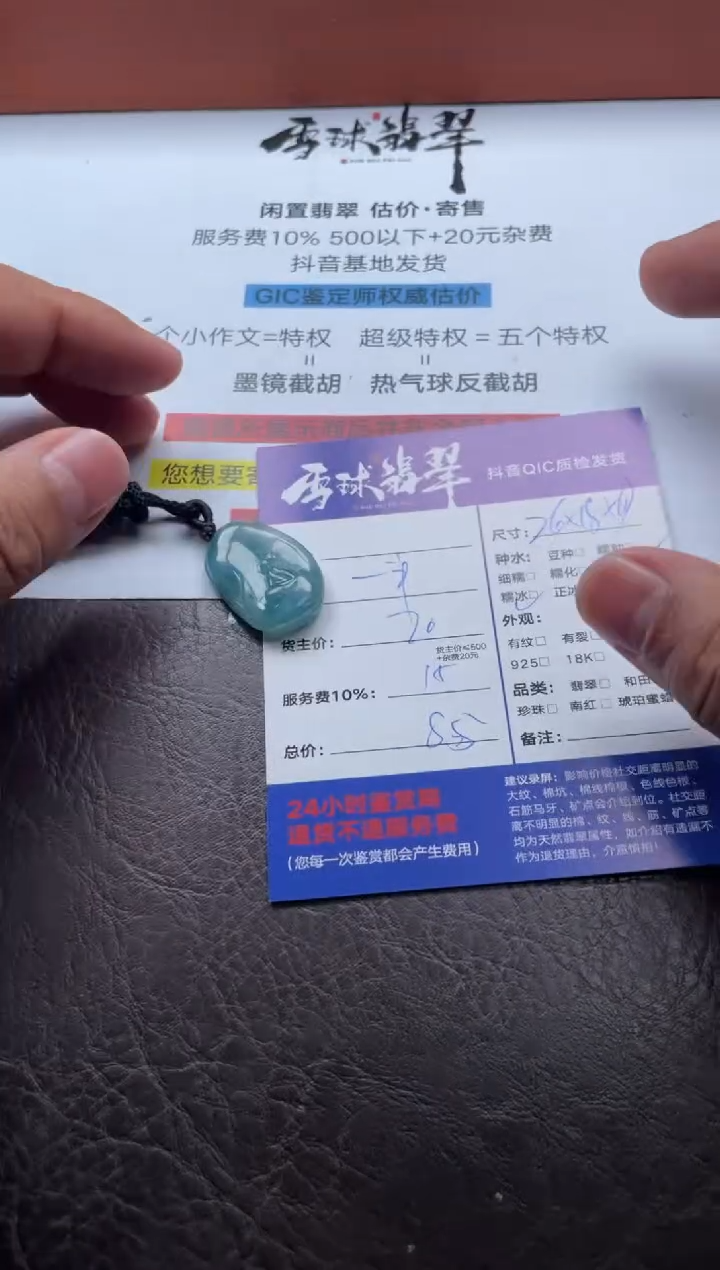 颈饰未镶嵌翡翠12131205119