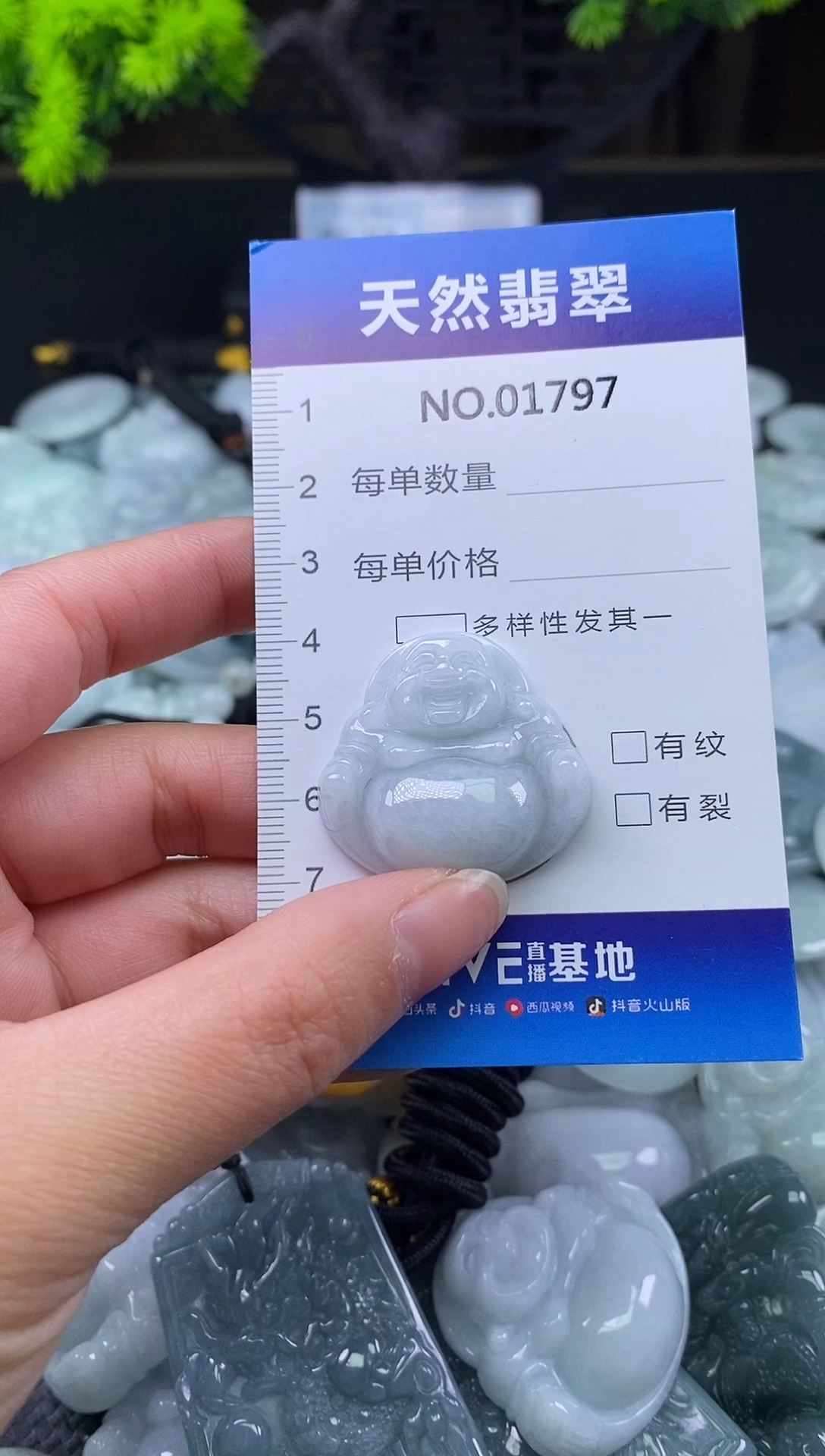 颈饰未镶嵌翡翠天然缅甸翡翠1797