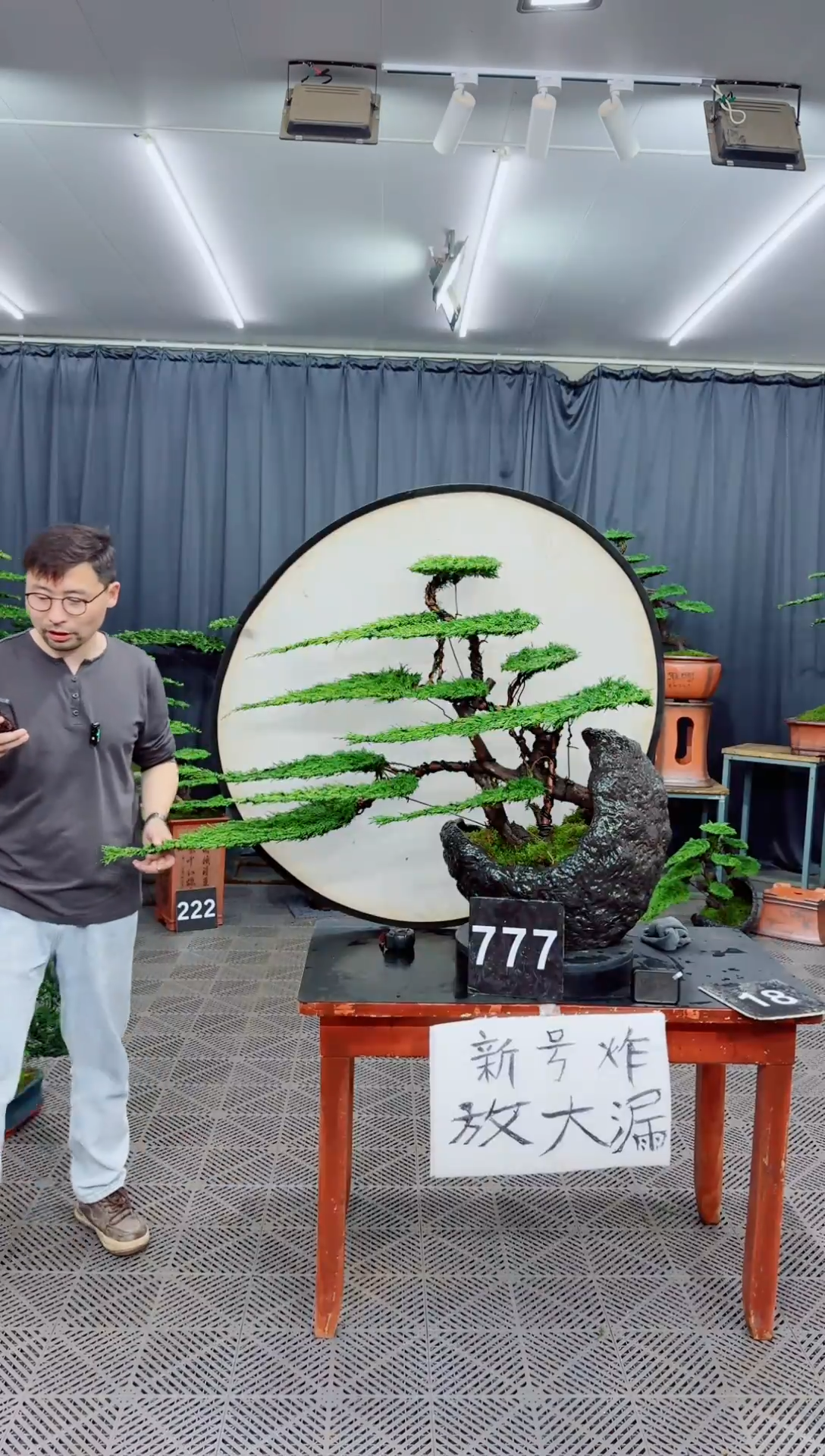 系鱼川盆景......